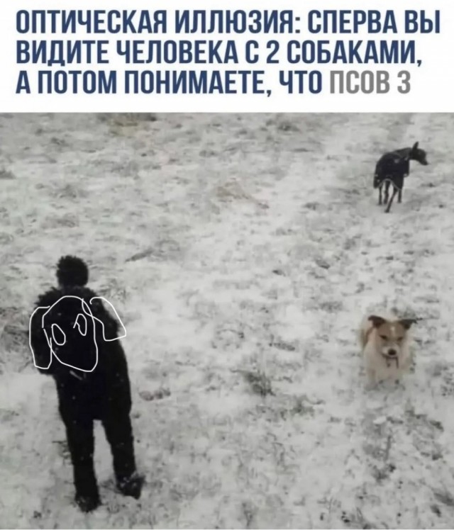 Завалялось тут случайно немного забавных картинок