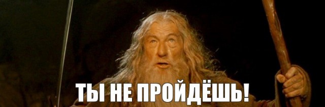 Пенсионерка устроила скандал из-за собаки
