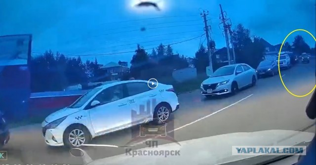 Петух местный.