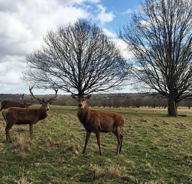 Так себе картинки 07.09.25
