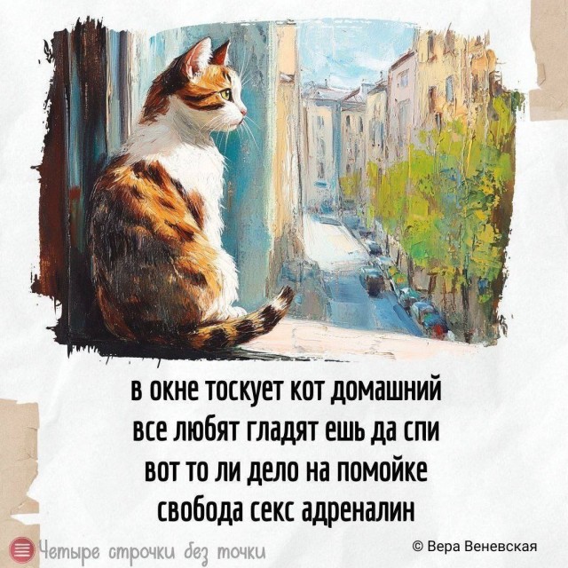 В предверии Котовторника