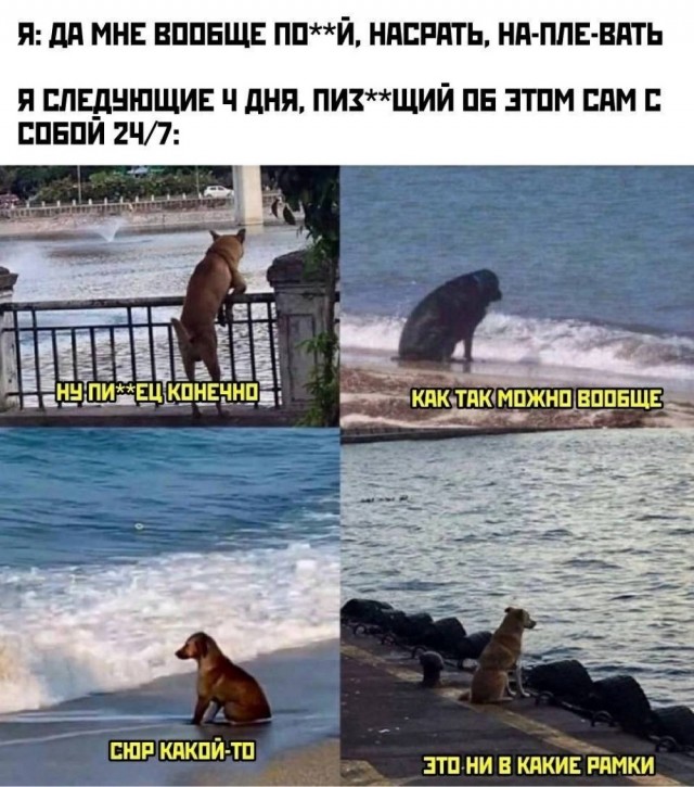Веселые картинки в понедельник (22.09)