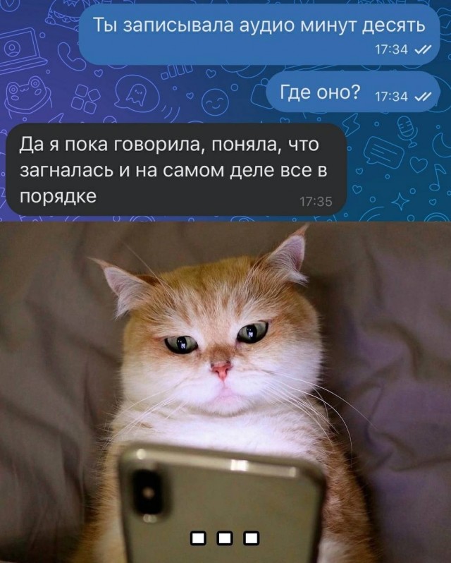 Картинки разные с надписями и без