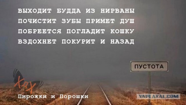 Картинки для деградации 82 (разной степени свежести)