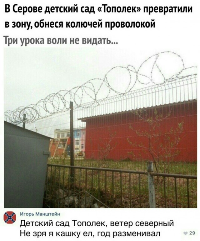 Так себе картинки 18.11.25