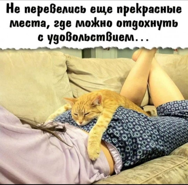 Картинки для деградации 94 (разной степени свежести)