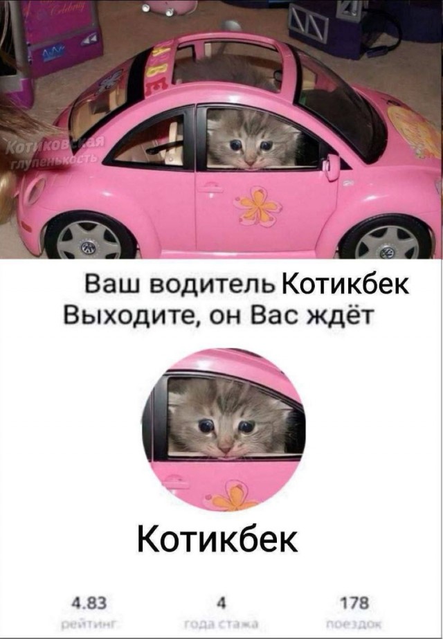 Четверговые картинки