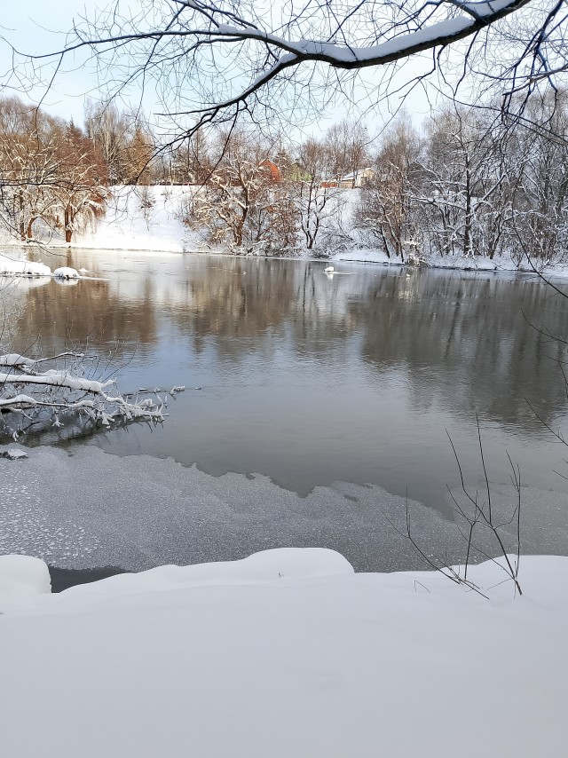 Прогулялся вчера
