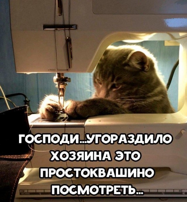 Среды картинки