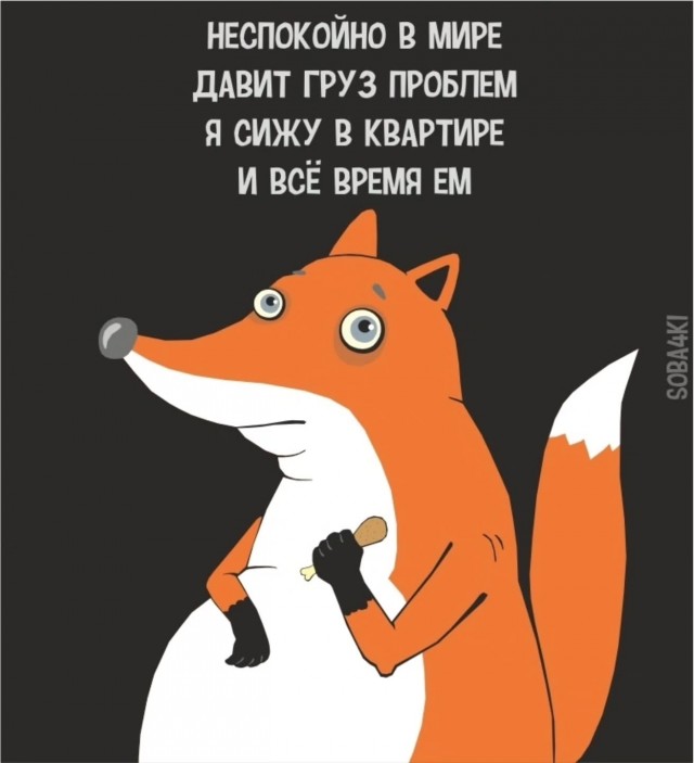Картинки для деградации 130 (разной степени свежести)