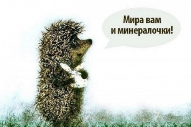 Так себе картинки 26.02.26