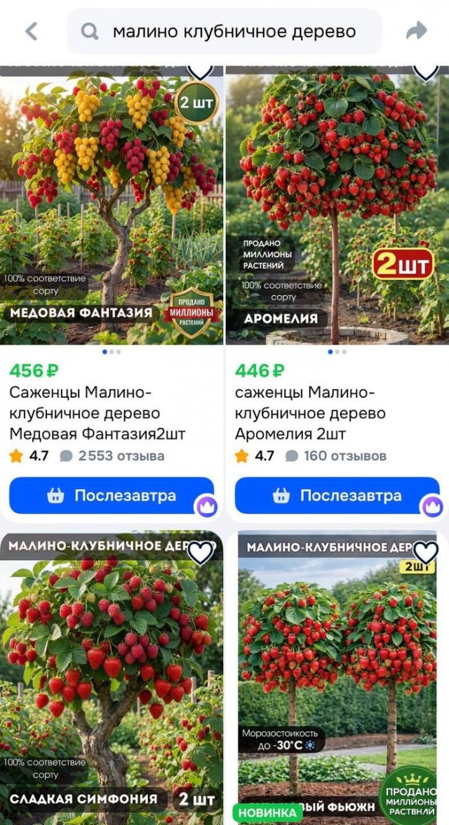 Бабушки массово скупают саженцы несуществующих растений на маркетплейсах