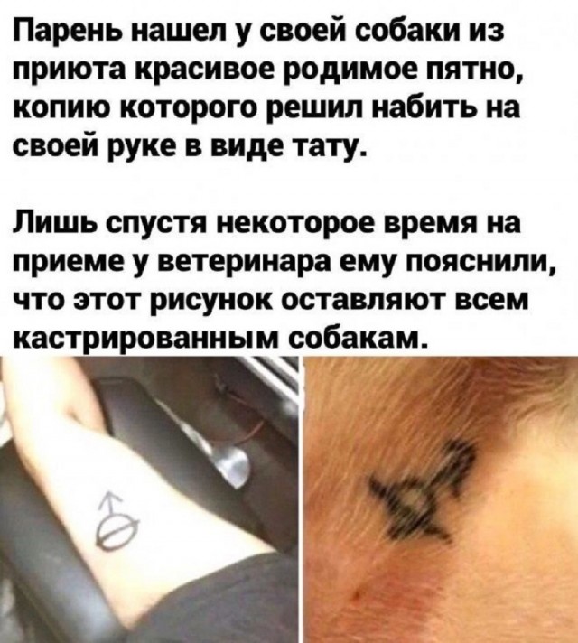 Так себе картинки 19.03.26