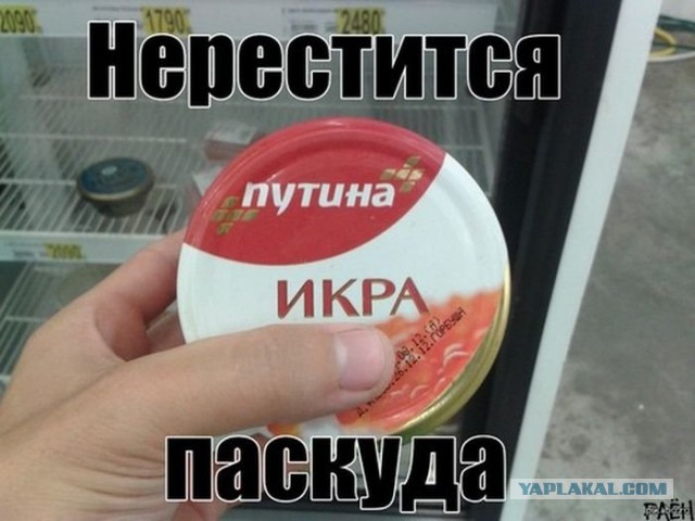 Путин поймал щуку весом 21 кг