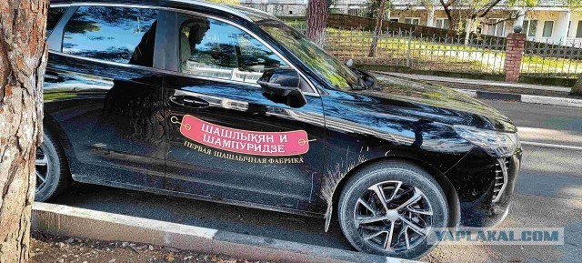 Поездка в Геленджик, конец июня.
