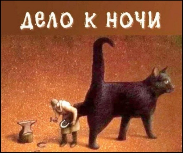 Так себе картинки 18.07.26