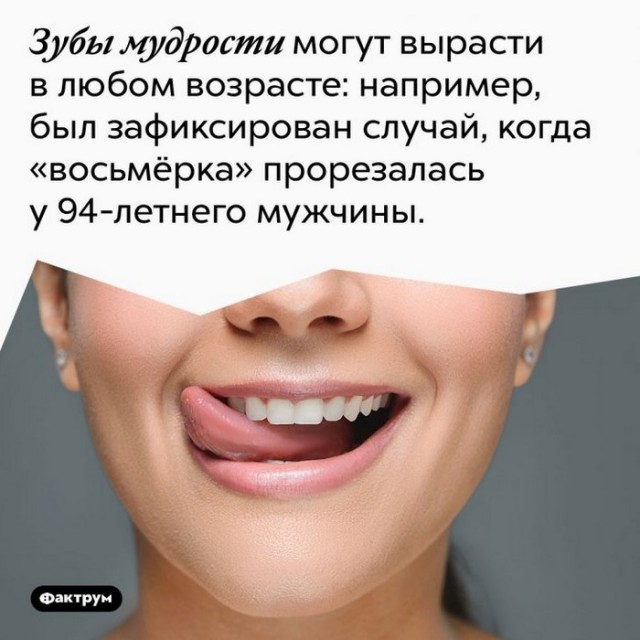Интересные и короткие факты, на все случаи жизни