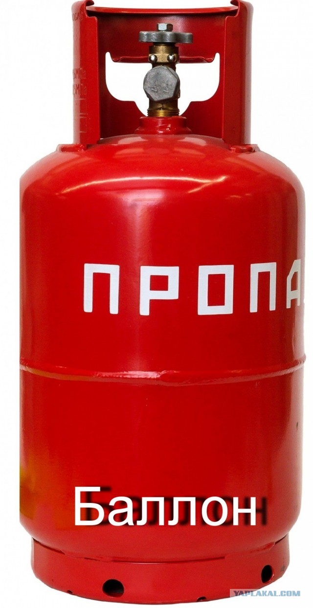 Яблочко от яблони