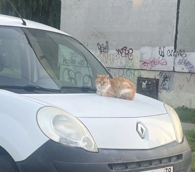 За что мне это?