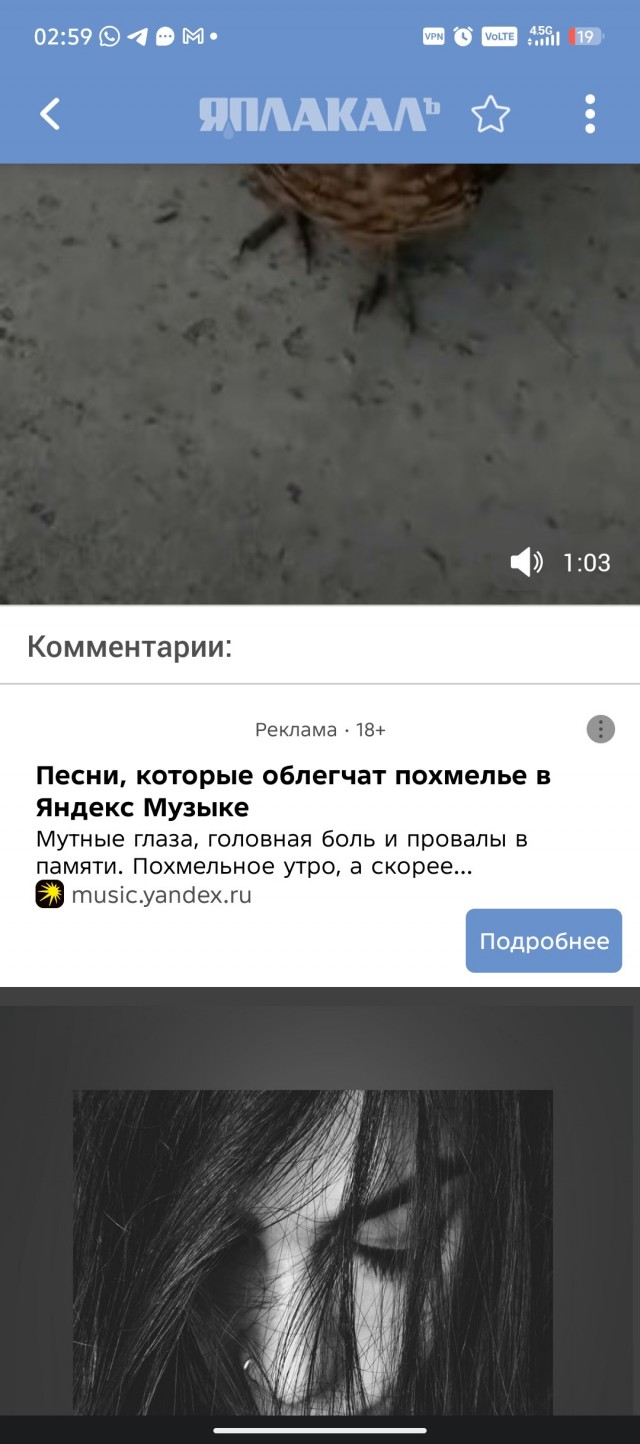 Душещипательное видео про спасение совы... Если бы не одно НО!