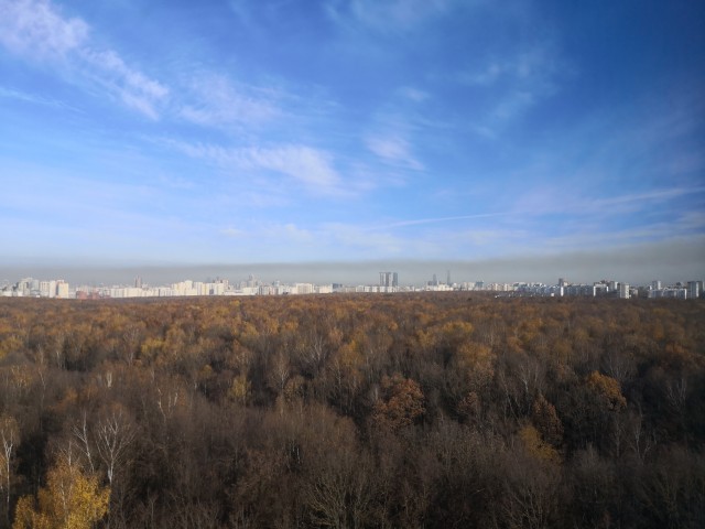 Москва. Коньково. Запах гари.