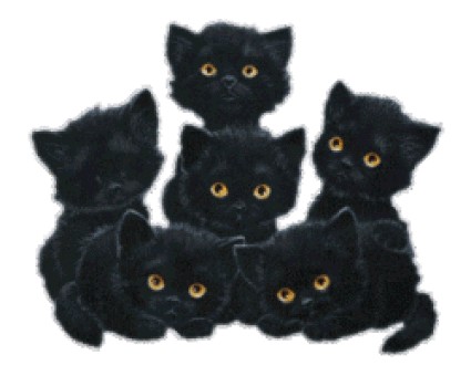 Невыразительные коты