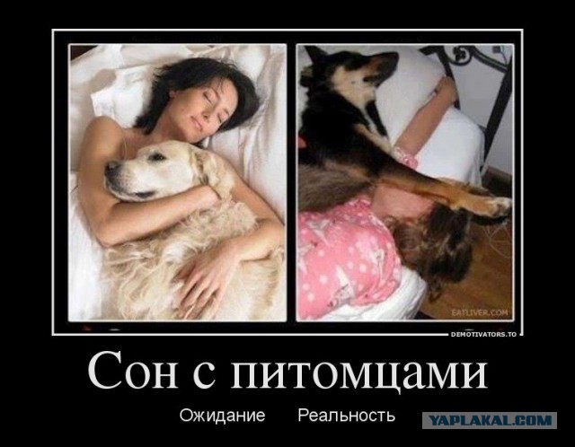 Ожидания VS Реальность