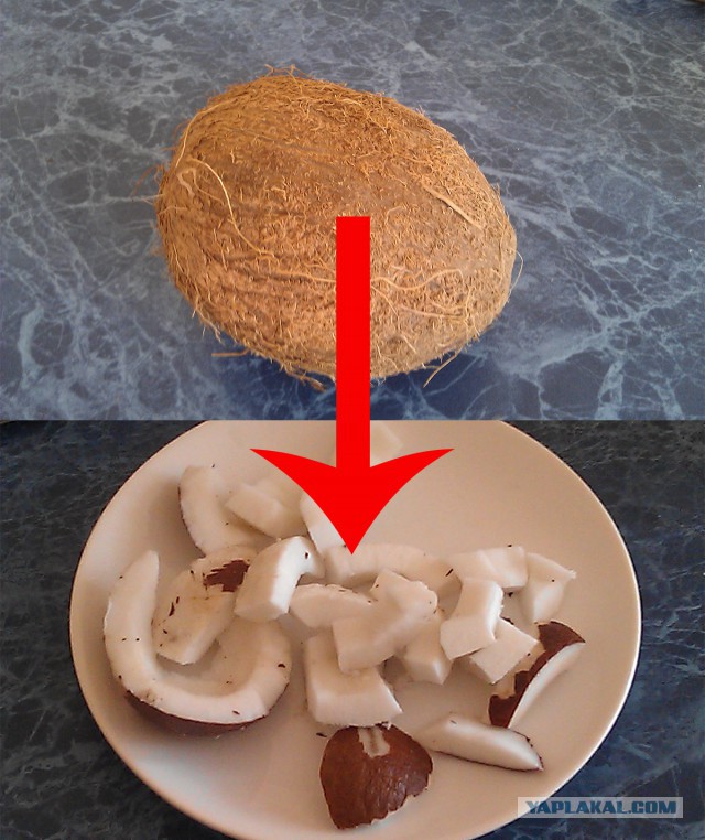 Как в походных условиях разделать кокос за 5 минут