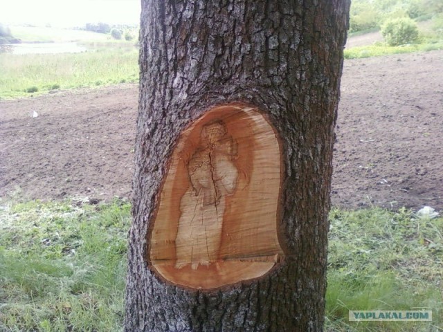А на кого похож?