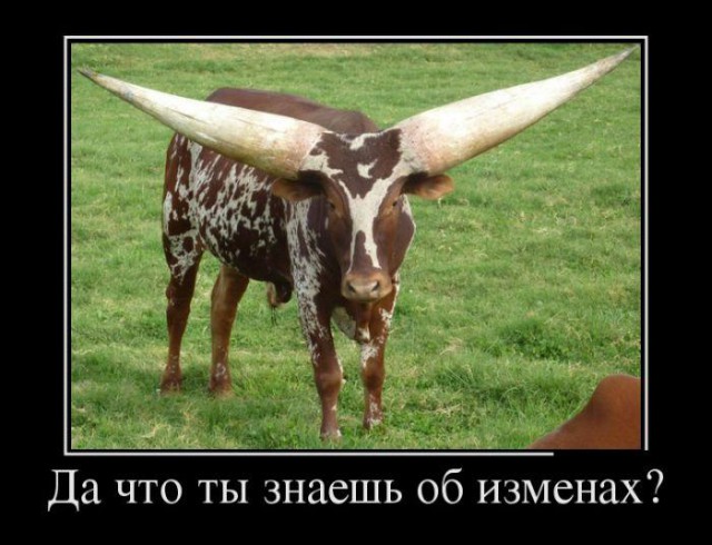 Демотиваторов пост, добавляйте свои