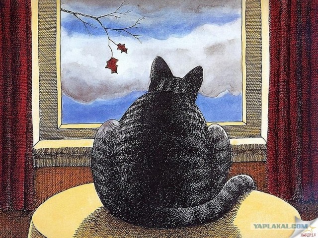 Рисованный котовторник