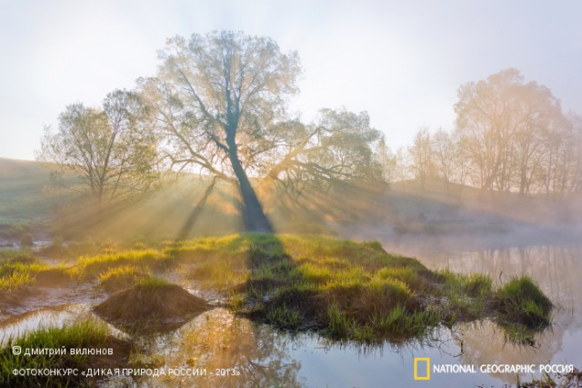 National Geographic,избранное...