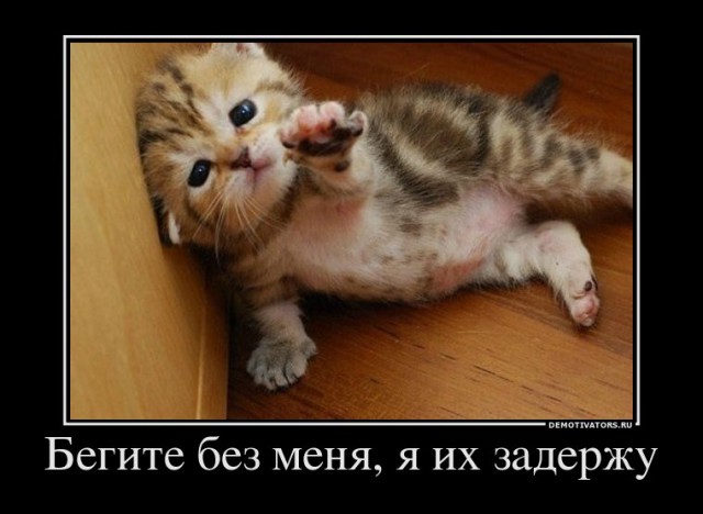 Вы хотите "демов"?