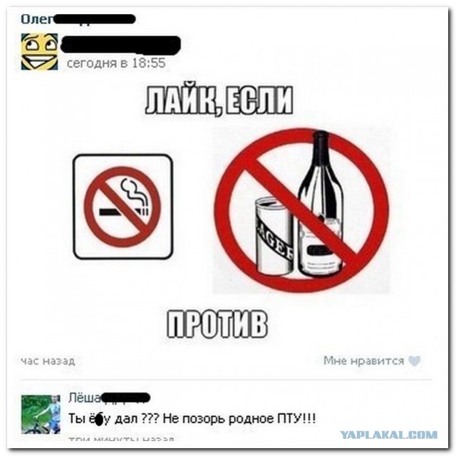 Смешные комментарии из социальных сетей 19.08.15