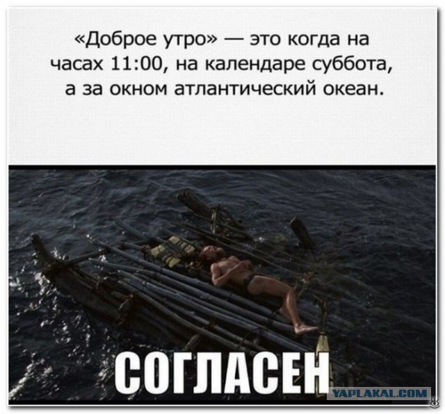 Смешные комментарии из социальных сетей 11.09.15