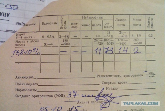 Почему врачи такие?