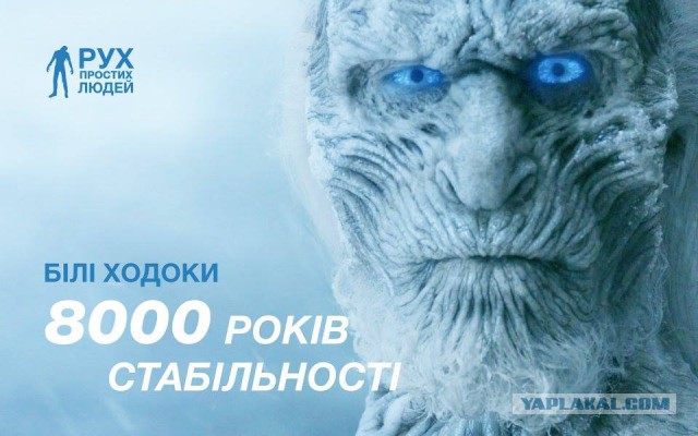 Выборы-выборы! Кандидаты... молодцы.