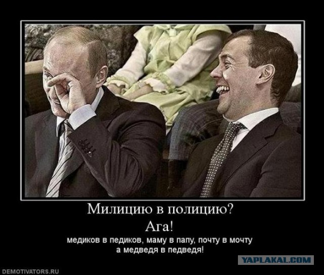 Подборка смешных и забавных фото