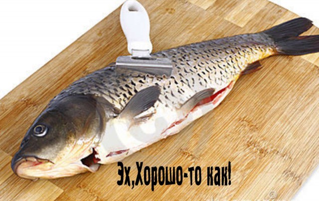 Неправильный кот