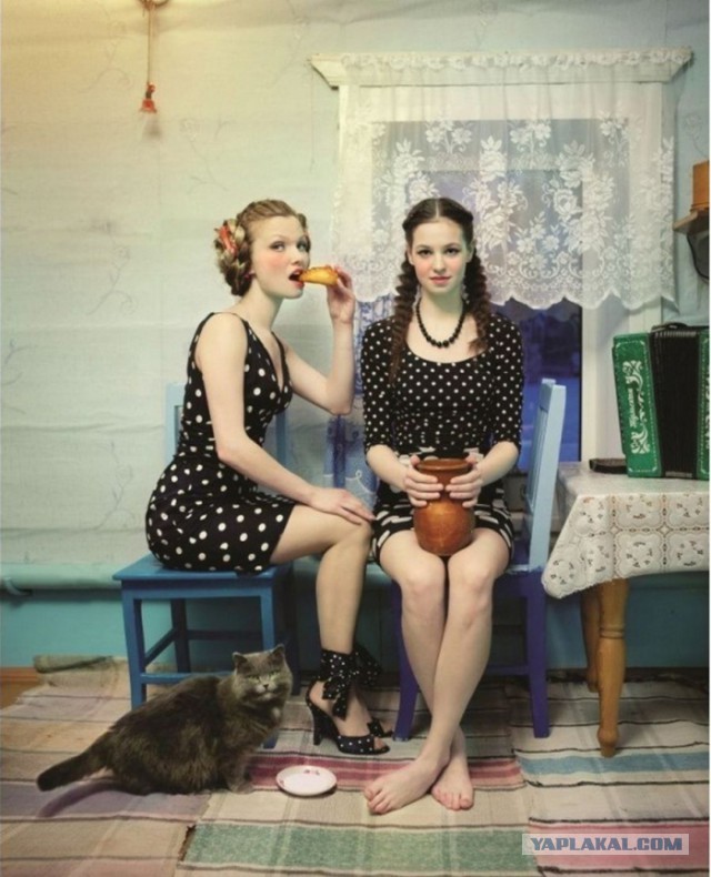 Интересные и веселые картинки