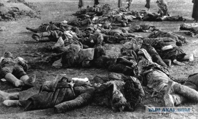 Про "зверства" советских освободителей в Европе….