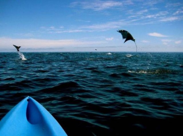 Интересные и веселые картинки