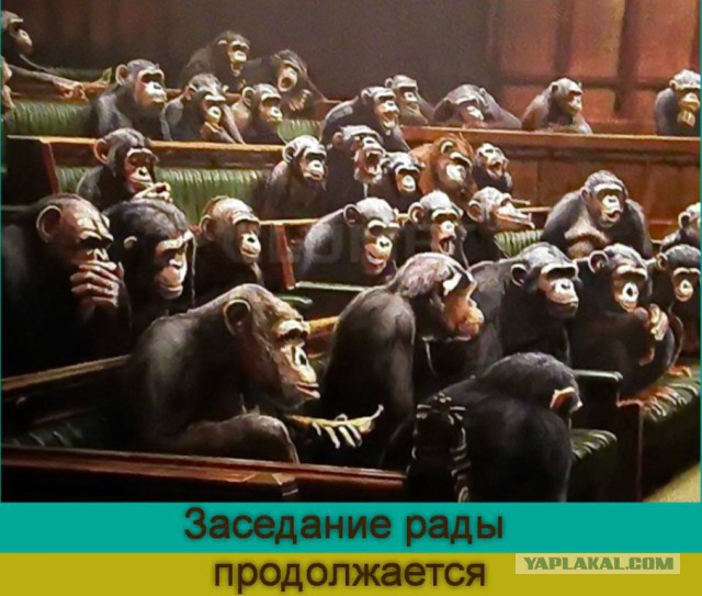 Украина! Революция победила! Чтоб Вам всем так жить!