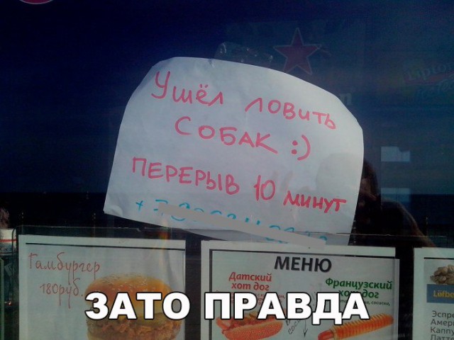 Подборка безудержного веселья
