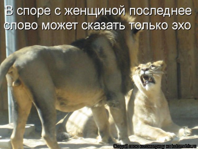 Женщины иногда лезут в мужские темы