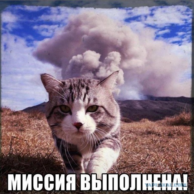 Не надо было обижать котейку