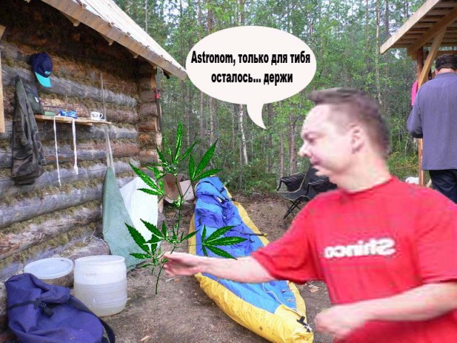 Фотожаба: Аркаша и лес