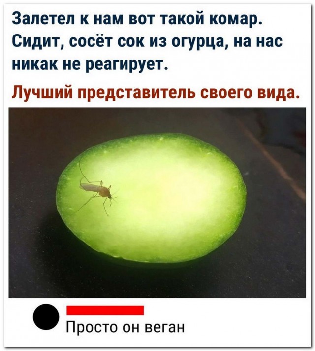 Юмор в картинках 24.09.20