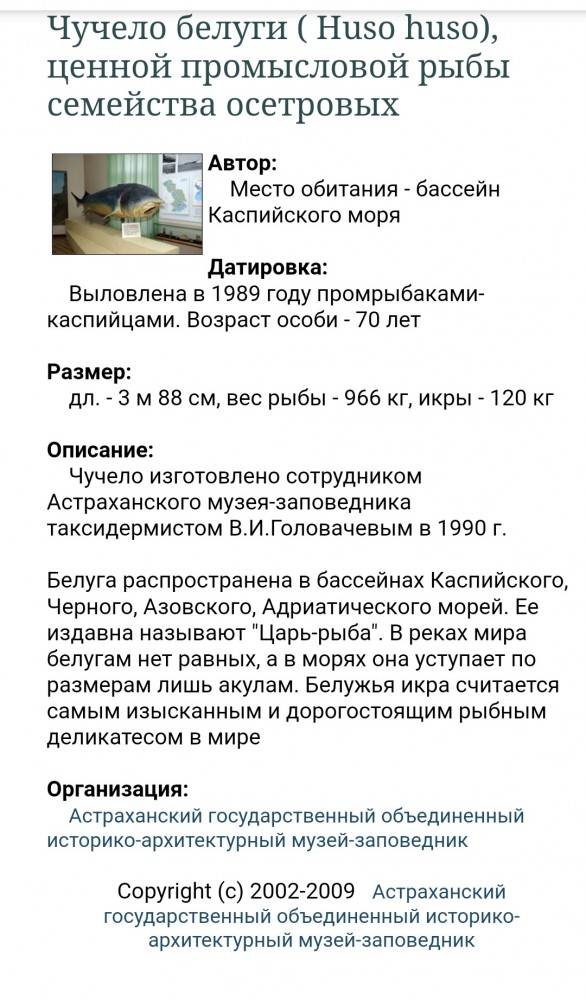 Просто икра белуги из Астрахани
