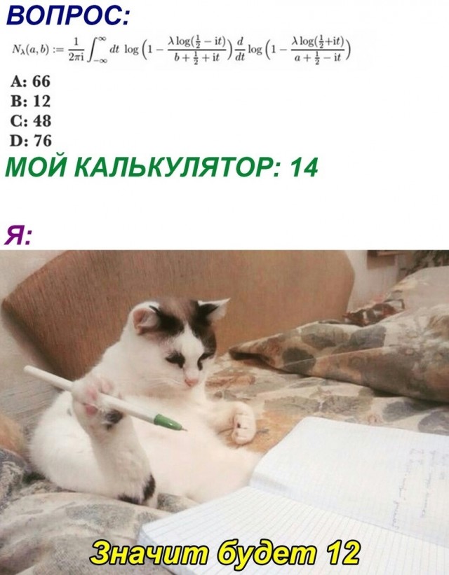Весёлый полтишок 7.03